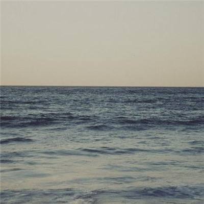 乐鱼官网手机app下载截图